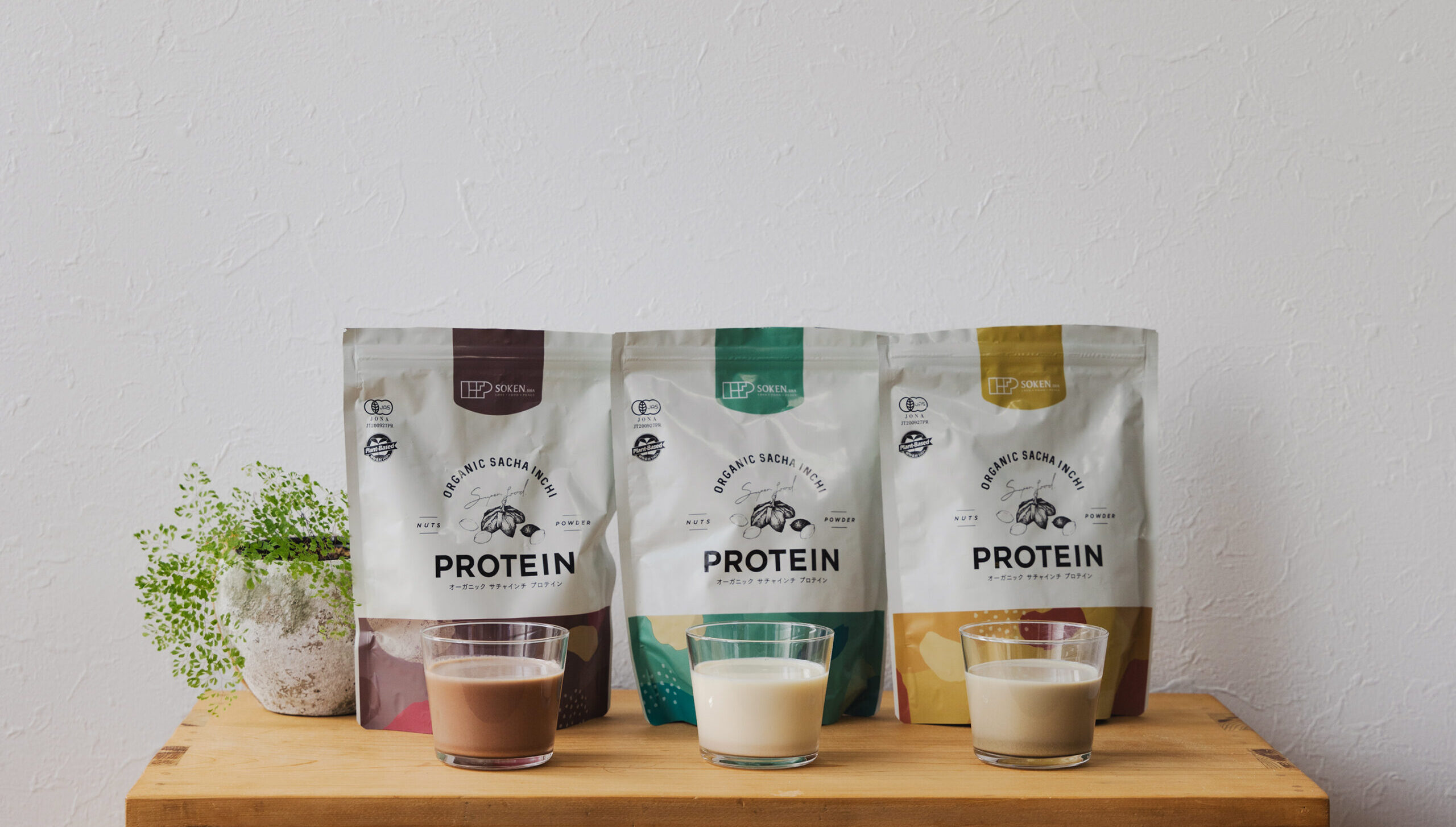 オーガニックサチャインチプロテイン最終製造工場へお伺いしました！