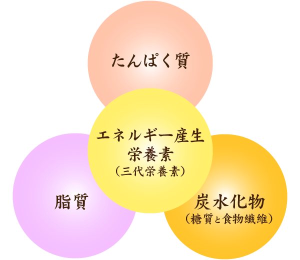 注目のプラントベース!植物素材のホワイトソース風ルウ