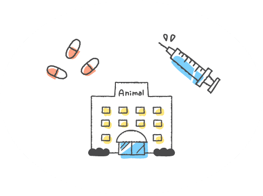 痛み、傷害、病気 からの自由
