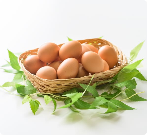 群馬榛名山麓の平飼い卵