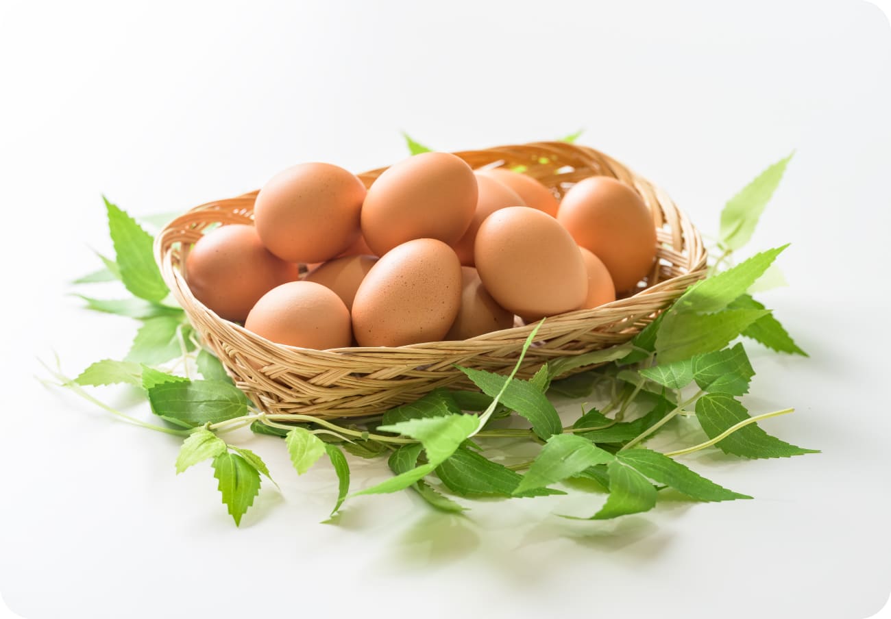 群馬榛名山麓の平飼い卵