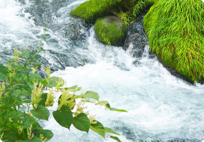 天然地下水とこだわり飼料