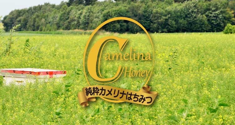 純粋カメリナはちみつ|株式会社創健社-自然食品の企画・製造・卸売