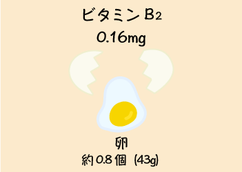 ビタミンB2 0.16mg 卵 約0.8個（43g）