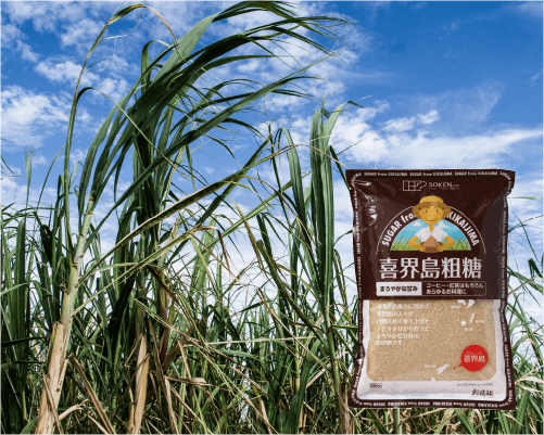 喜界島粗糖