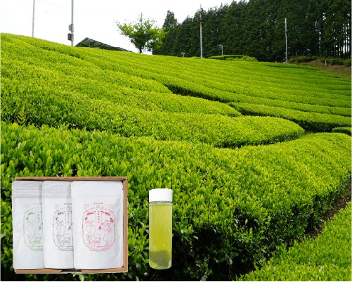 34.水筒に入れて楽しむ有機茶詰合せ