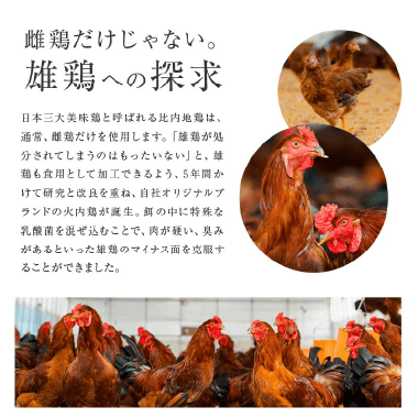 雌鶏だけじゃない。　雄鶏への探求