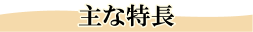 主な特長