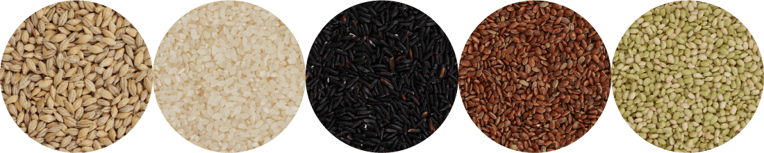 五穀大黒茶稲穂イメージ