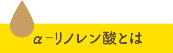 α-リノレン酸とは