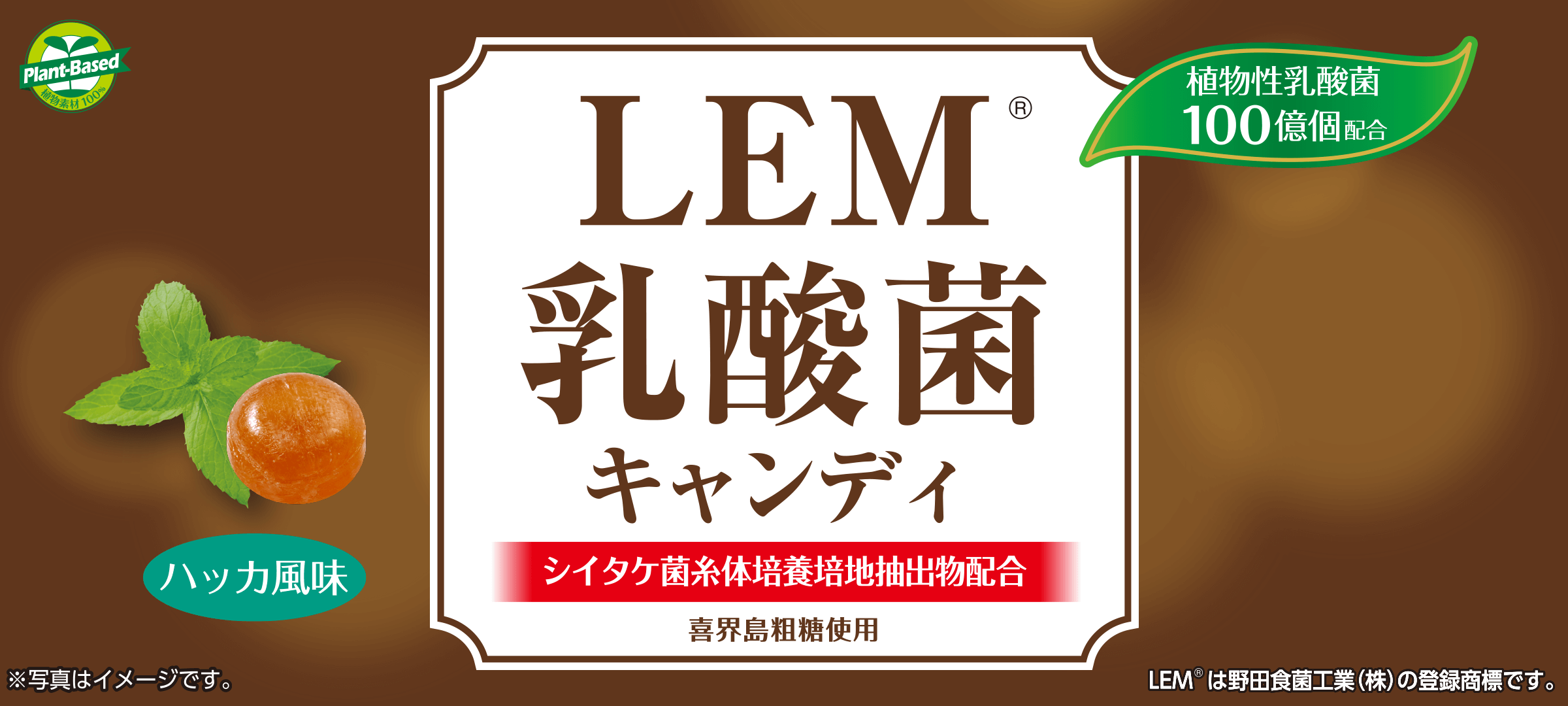 LEM®乳酸菌キャンディ