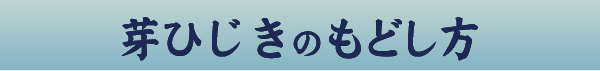 芽ひじきのもどし方