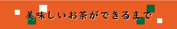美味しいお茶ができるまで