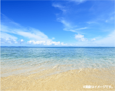 ミネラルを残した沖縄の海水塩