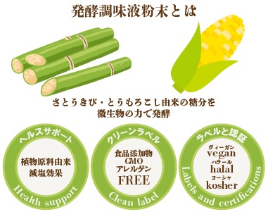 発酵調味液粉末とは