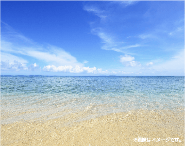 ミネラル分を含む沖縄の海水塩