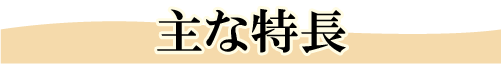 主な特長