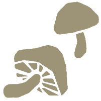 乾椎茸