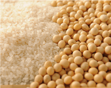 有機大豆と国産米