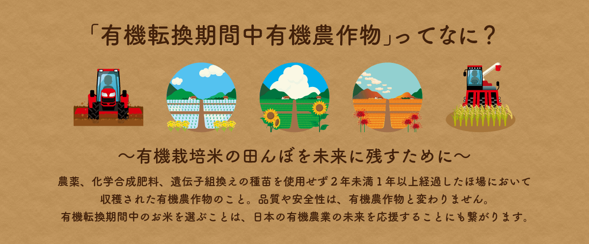 「有機転換期間中有機農作物」ってなに？