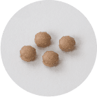 一日摂取目安量：4粒