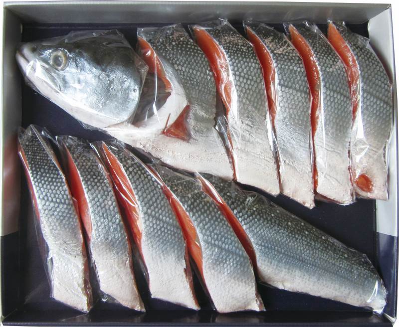 魚小路 銀聖半身姿づくり 約1.2kg