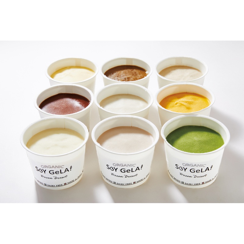 ECCO ＳＯＹ　ＧｅＬＡ！　オーガニックアイス　９個セット 有機安納芋、静岡ほうじ茶ラテ、有機甘栗、濃厚チョコ、バナナ、北海道有機くりりん（かぼちゃ）、ココナッツとバニラ、いちご、静岡抹茶ラテ 各100ml×1個